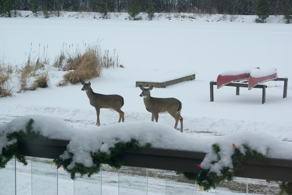 Liftlock Guest House Bed & Breakfast 4*