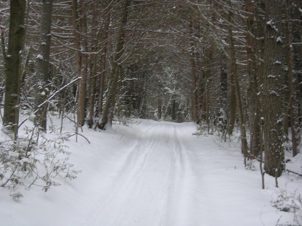 Golden Pathways Retreat 3* Peterborough