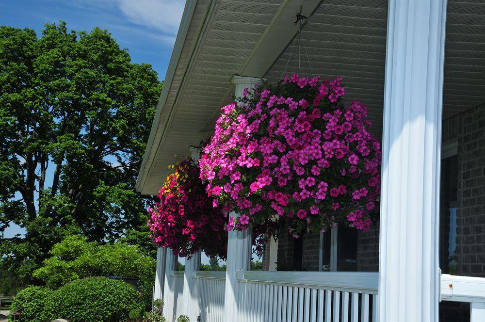 Golden Pathways Retreat Bed & Breakfast Peterborough