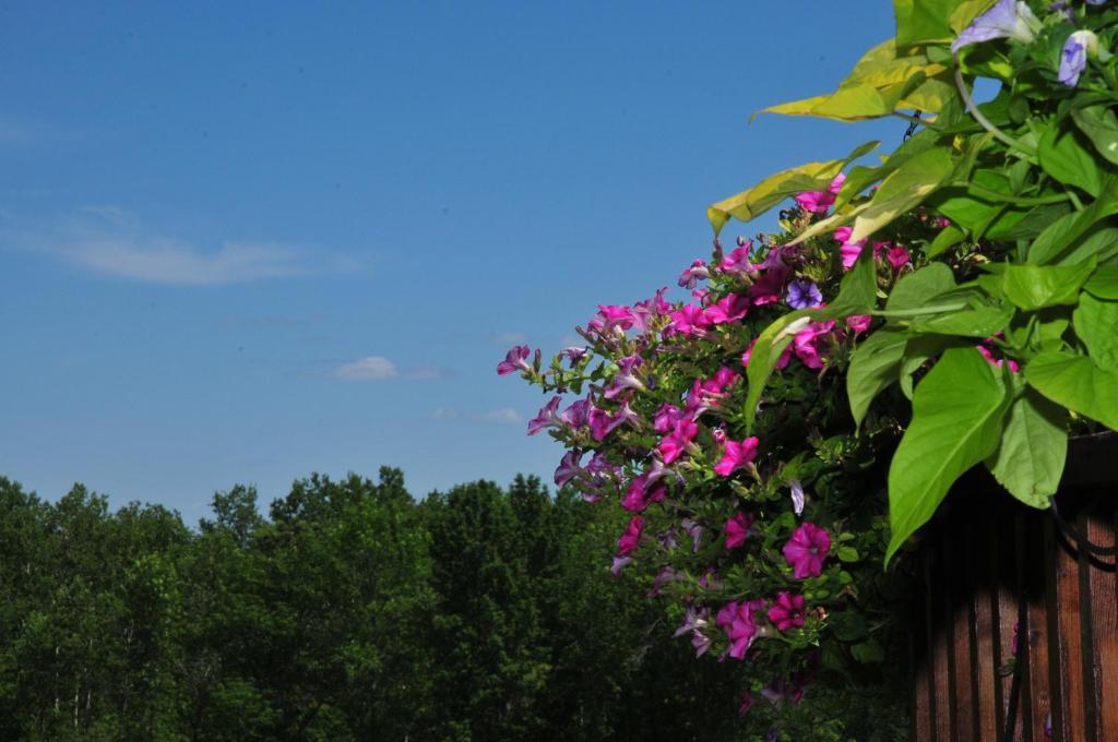 Golden Pathways Retreat Peterborough