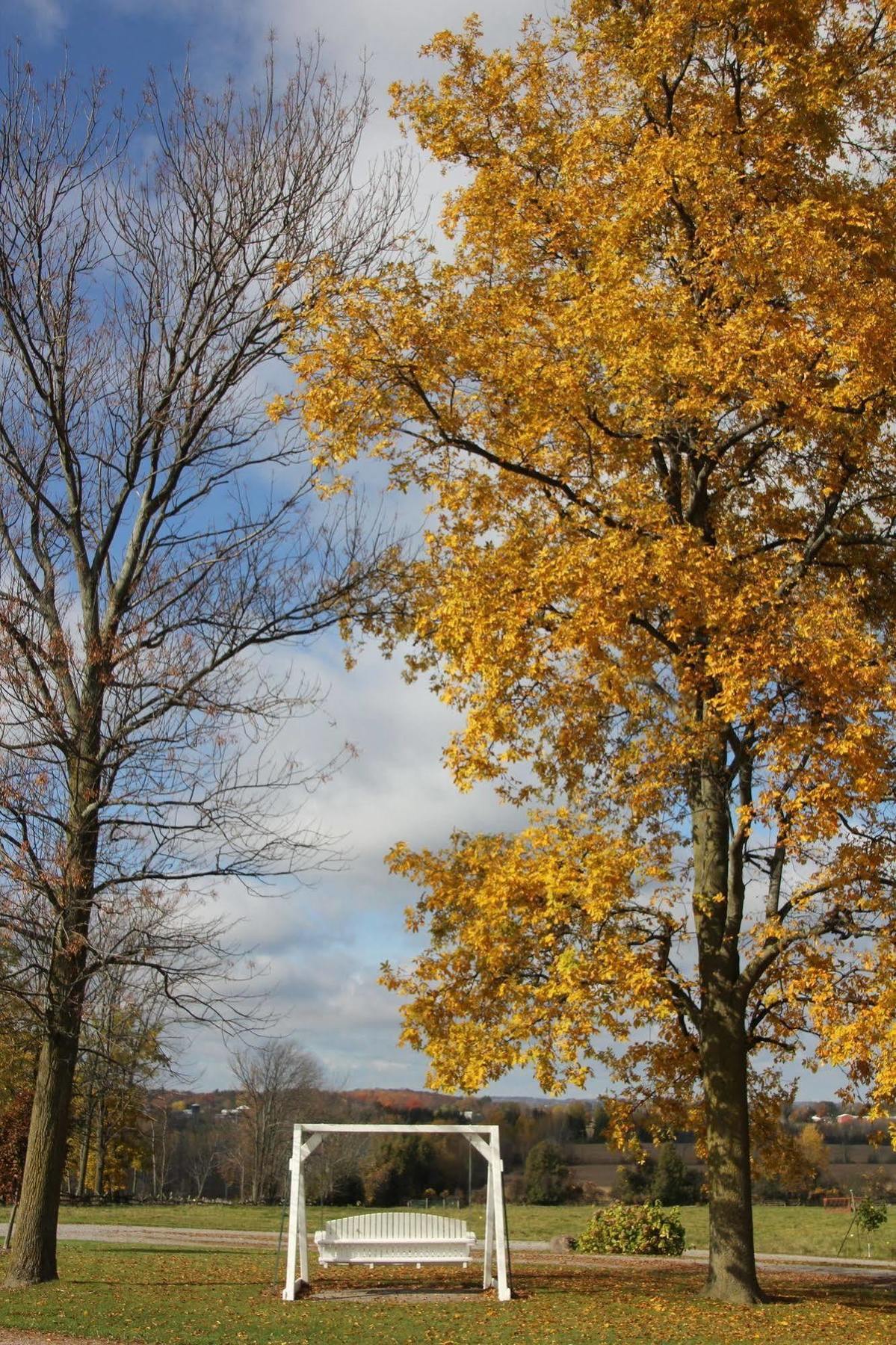 Golden Pathways Retreat