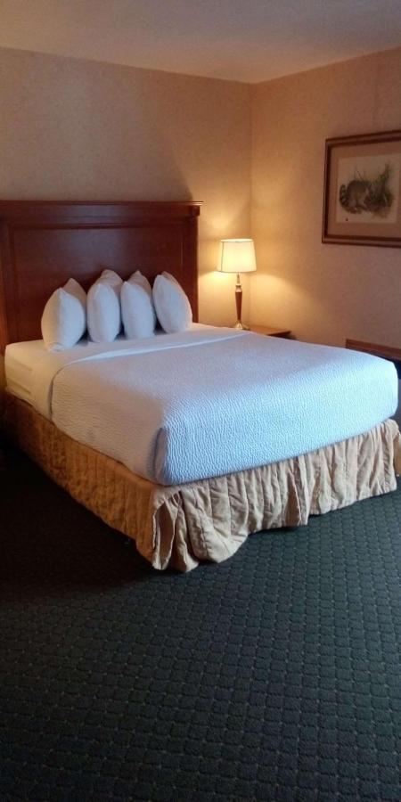 Hotel Western Otonabee 3*