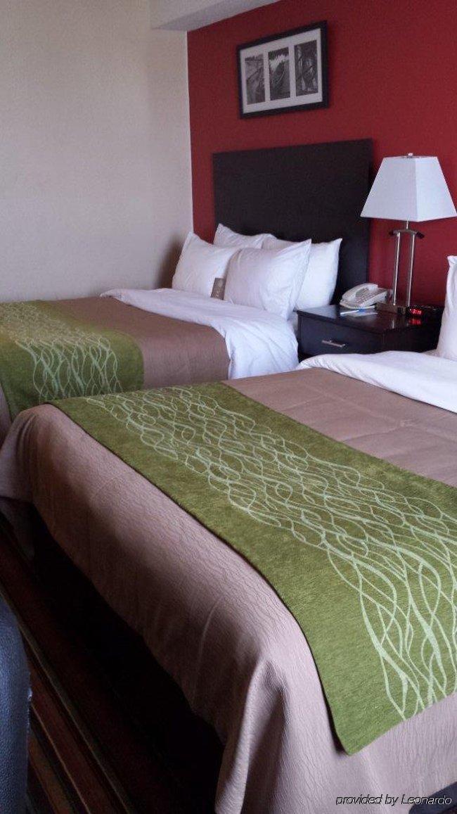 Hotel Comfort & 2*