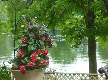 Angel's Rest On The Otonabee Hotel 3*