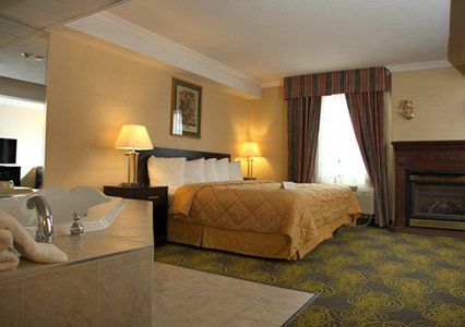 Comfort & Hotel Peterborough
