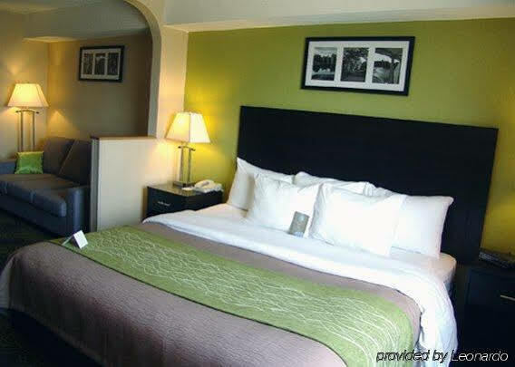Comfort & Hotel